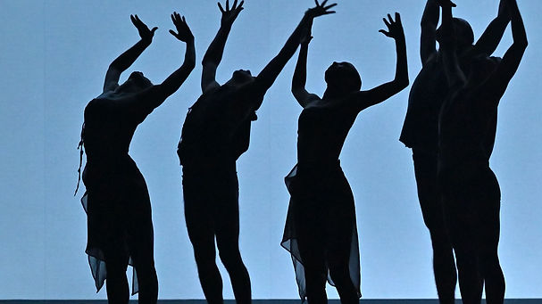 0443_Balletto Di Roma Astor_edited.jpg