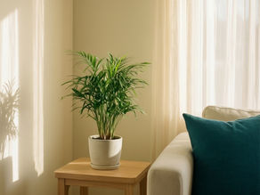Bright, welcoming Mississippi home interior representing protection and preparedness
