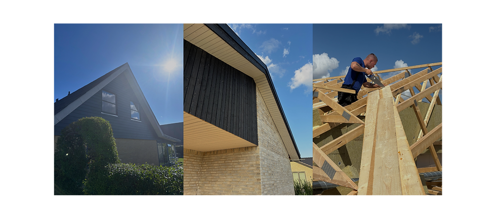 Design uden navn (4)_edited.png