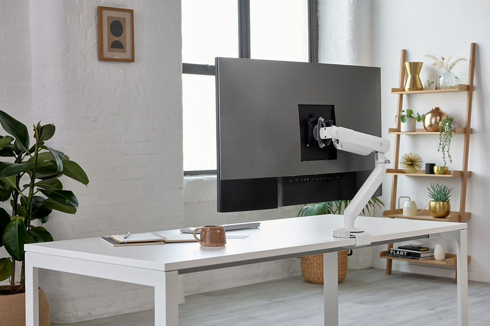 Thumbnail: Flo X Monitor Arm