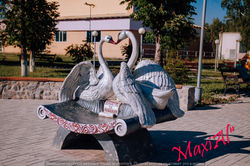 Лебеді MG_7550 (3)