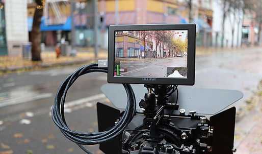 video rig.jpg