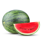 Muda Viveiro BrazPlant melancia
