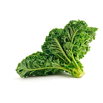 Muda Viveiro BrazPlant couve crespa