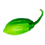 Muda Viveiro BrazPlant jilo
