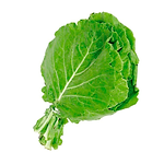 Muda Viveiro BrazPlant couve manteiga