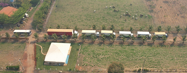 Frota Viveiro BrazPlant