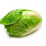 Muda Viveiro BrazPlant acelga