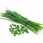 Muda Viveiro BrazPlant cebolinha