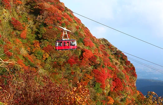Home Unzenonsen Home Unzenonsen