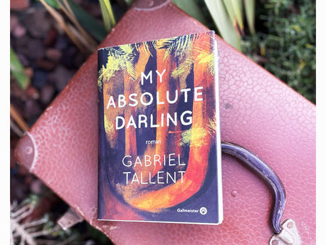 📙 [𝓒𝓱𝓻𝓸𝓷𝓲𝓺𝓾𝒆] My absolute darling