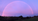 QUIMERA