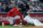 The Sox and Yanks will resume their rivalry in October for the first time since '21. (Photo: Brad Penner / Imagn Images)