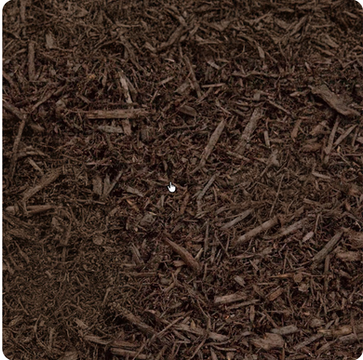 Close-up of color-enhanced chocolate brown mulch with a rich, uniform coffee-colored tone and shredded wood texture for a professional landscape finish.