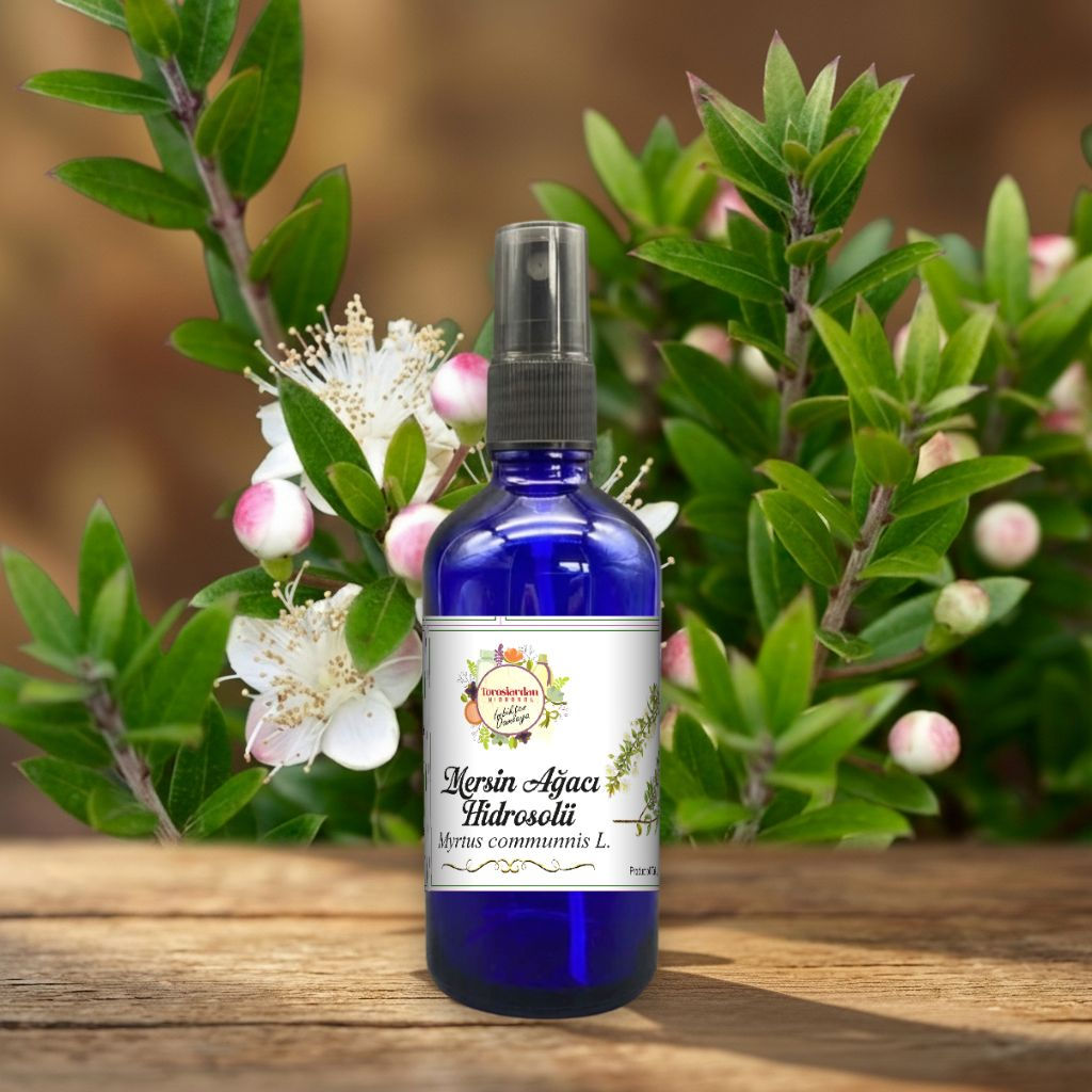 Mersin Ağacı Hidrosolü