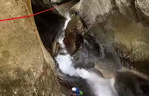 1ebd6e_abbd03effe11419087e32d4a8e544367~mv2 (1).avif