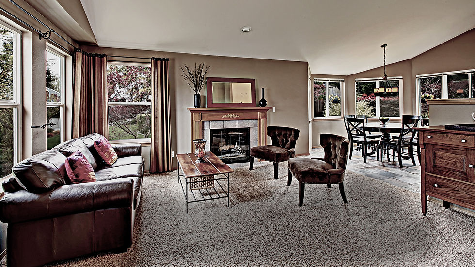 carpet pic1.jpg