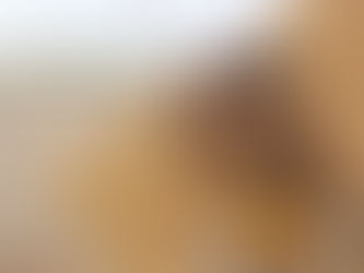 Tasa de Participación en la fuerza laboral