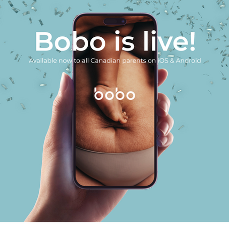 Bobo Ambassador Program