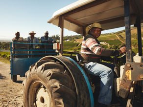 Phatisa Food Fund 2 reaches $143million final close from DFI