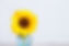 cath-smith-oGOAXV598IU-unsplash_edited.jpg