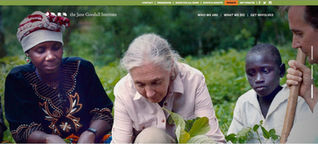 Jane Goodall - an inspiration for the world!
