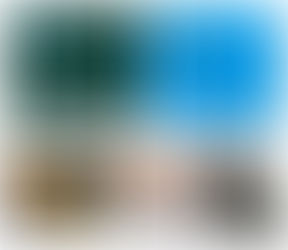 The Ignored Suffering: Animal Testing Worldwide