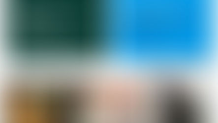 The Ignored Suffering: Animal Testing Worldwide