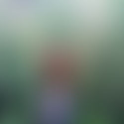 Setting off: SUSTAINABLE-ETHICAL SOCIAL ECONOMY 