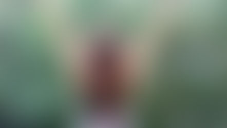 Setting off: SUSTAINABLE-ETHICAL SOCIAL ECONOMY 