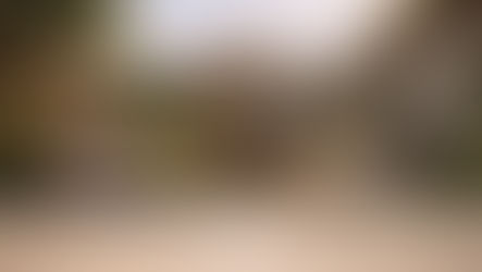 The Illusion of Autonomy – An Evolutionary and Societal Mismatch