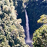 Environment