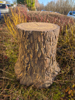 Tree Stump