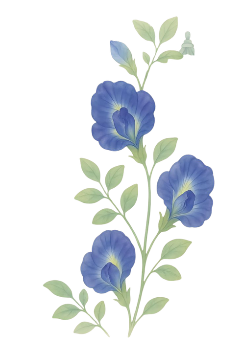 Garden of Stillness – Korean Landscape with Butterfly Pea - Edited.png