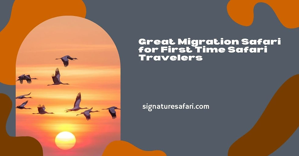 Great Migration Safari for First Time Safari Travelers