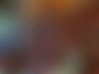 The “speculative romance” section of the bookstore Joie de Livres by Lilianne Lachapelle// Staff Writer// The Concordian