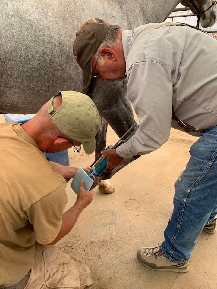 What Your Farrier Wants You To Know...