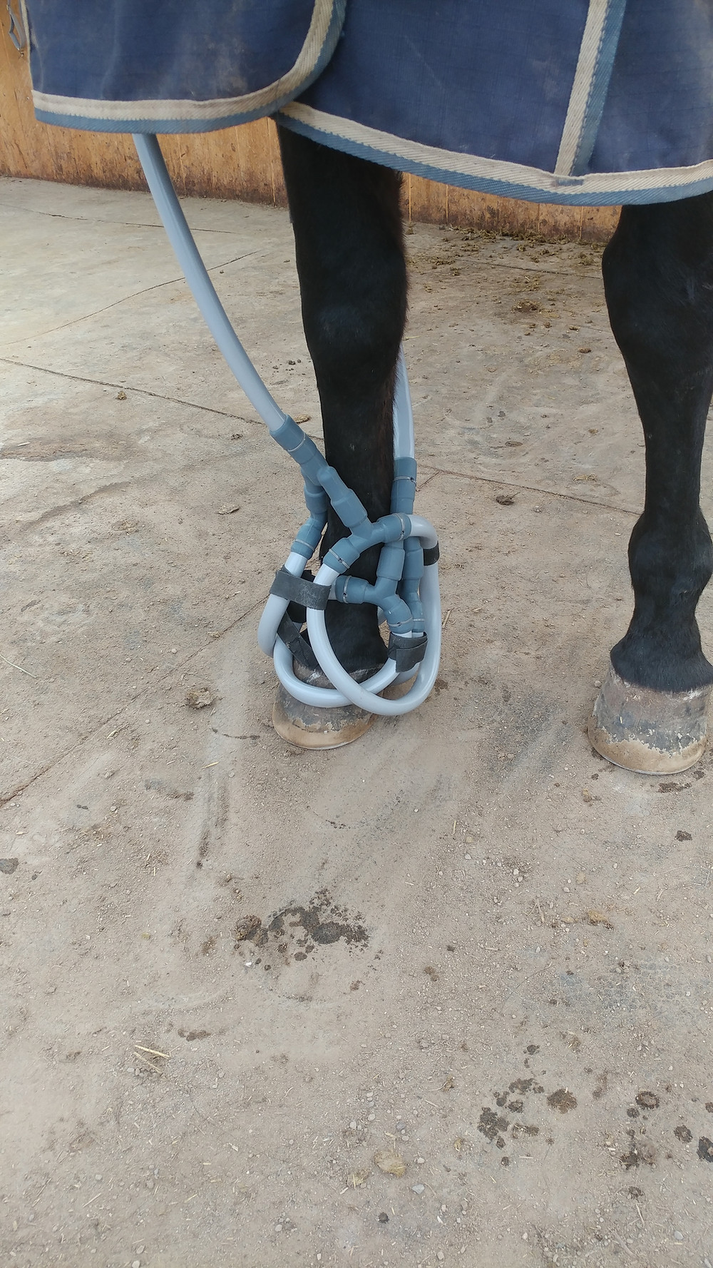 What Your Farrier Wants You To Know...