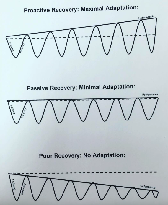 Three line graphs showing how recovery impacts adaptation.