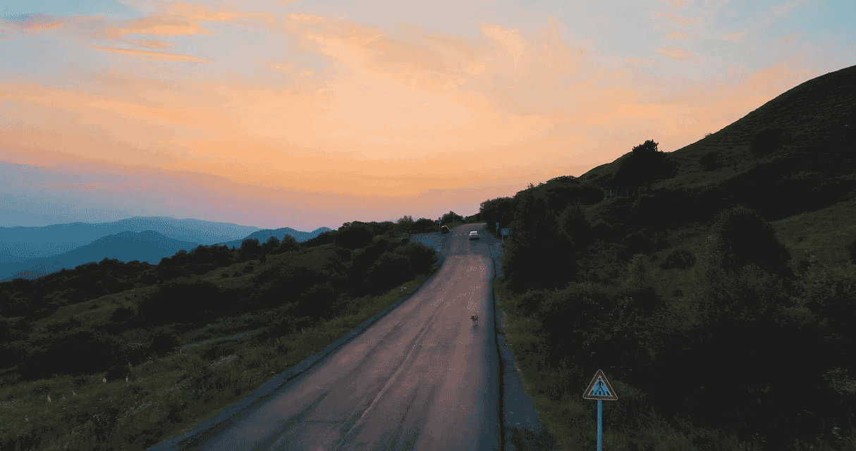 0729.gif