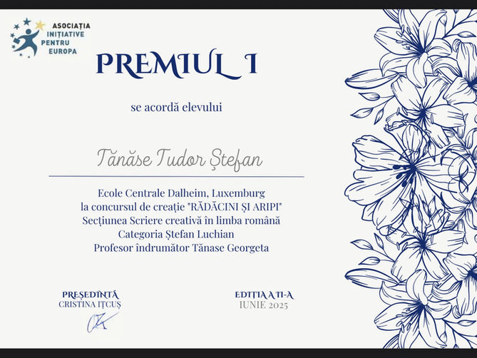 Concours "Rădăcini si aripi"