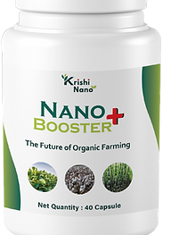 kn bottle.png