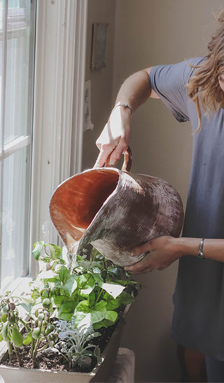 alt=femme arrosant ses plantes intérieurs sur le bord de sa fenêtre.png