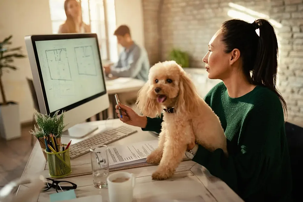 Grooming Programmer Transforming Pet Grooming Services with Technology