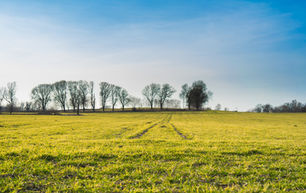 Building a Cloud Native GIS and AI Enabled Advisory Platform for Agriculture and Business Consulting