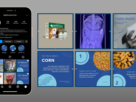 Veterinary Social Media Management