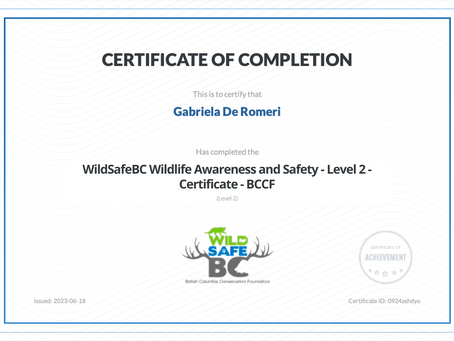 Wildlife Awareness and Safety (Level 2) Certificate