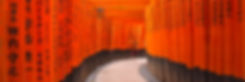 AdobeStock_120274007.jpeg