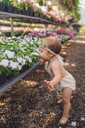 stop and smell the flowers.jpg