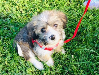 HEUTE KEIN PRAXISABEND